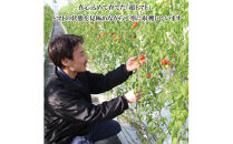 出雲の國からの贈り物～トマトを超えた超トマト２kg