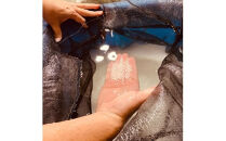 出雲富士　純米吟醸・純米720ml ２本セット