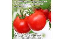 出雲の國からの贈り物～超トマト３ｋｇ＆ジュース２本