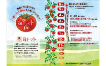出雲の國からの贈り物～超トマト１kg＆ジュース１本