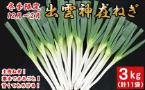 出雲神在（かみあり）ねぎ