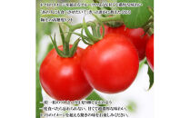 出雲の國からの贈り物～超トマト１kg＆ジュース２本