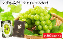 【2026年8月中旬以降発送】いずもぶどう　シャインマスカット(800ｇ見当)