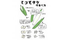 出雲國マコモタケ（生） 1kg 出雲市産　【2026年9月上旬以降発送】