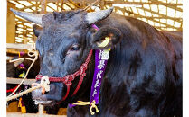 藤増&nbsp;しまね和牛小間切り&nbsp;600ｇ【冷凍】