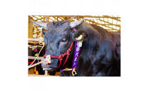 藤増 しまね和牛モモ スライス 700g【冷凍】