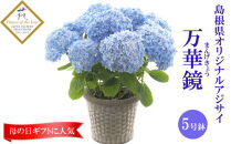 【2026年5月発送】島根県オリジナルアジサイ　万華鏡