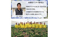 【2026年5月発送】島根県オリジナルアジサイ　万華鏡