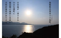 【希少】天然岩のり　十六島海苔（うっぷるいのり）