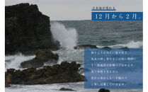 【希少】天然岩のり　十六島海苔（うっぷるいのり）