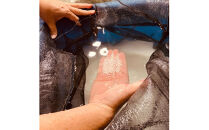 出雲富士　純米大吟醸　天の叢雲1800ml