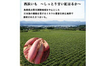 西浜いも（べにはるか）5kg