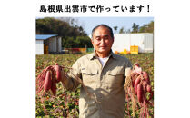 西浜いも（べにはるか）5kg