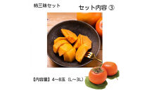 【柿専業の農家が作る】柿三昧セット