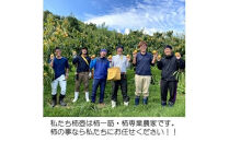 【柿専業の農家が作る】柿三昧セット