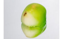 Jewely Box 天使の真珠メロンDAIFUKU（一箱6個入り）