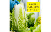 【１１月～１月中旬限定！】出雲漬物おすすめ６品セット
