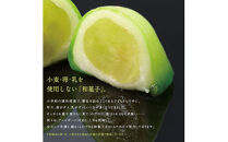 SPオパールのぶどう　シャインマスカット　1箱6個入