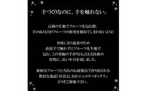 SPオパールのぶどう　シャインマスカット　1箱6個入