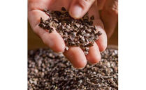 出雲そば・荒磯のり詰め合わせセット