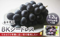 「できるだけ有機に近い形で栽培したい」&nbsp;桑本農園&nbsp;BKシードレス&nbsp;1.2kg（600g前後×2房）【シードレス&nbsp;葡萄&nbsp;ぶどう&nbsp;果物&nbsp;フルーツ&nbsp;くだもの&nbsp;ブドウ&nbsp;甘い&nbsp;オススメ&nbsp;島根県&nbsp;出雲市&nbsp;人気】