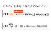 羽毛布団&nbsp;シングル&nbsp;ハンガリー産&nbsp;グースダウン93%&nbsp;1.3kg&nbsp;ツインキルト&nbsp;400dp