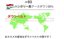 羽毛布団&nbsp;シングル&nbsp;ハンガリー産&nbsp;グースダウン93%&nbsp;1.3kg&nbsp;ツインキルト&nbsp;400dp