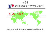 羽毛布団&nbsp;シングル&nbsp;フランス産&nbsp;ダックダウン90%&nbsp;1.3kg&nbsp;ボディーアームスキルト&nbsp;380dp