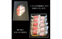 もなか　いちころか　10個入り