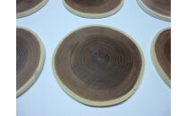 エンジュの輪切り大判コースター　6枚