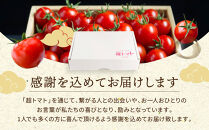 超トマトゼリー&nbsp;6個セット【トマト&nbsp;とまと&nbsp;野菜&nbsp;やさい&nbsp;ゼリー&nbsp;トマトゼリー&nbsp;新鮮&nbsp;産地直送&nbsp;贈答&nbsp;出雲&nbsp;出雲市&nbsp;おすすめ&nbsp;人気】