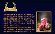 しまね和牛 美肌テールスープ　3食セット