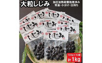 出雲の國　神西湖のしじみ