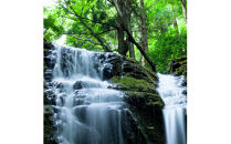 出雲ノ高濃度水素水　末広セット