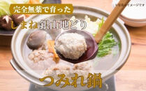 完全無薬で育った 銀山地どりの『つみれ鍋』2～3人前