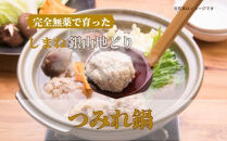 完全無薬で育った 銀山地どりの『つみれ鍋』4～5人前