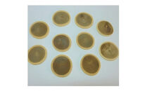 エンジュの輪切りコースター　10枚