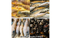 季節のおさかな、おまかせセット！3K相当