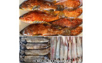 季節のおさかな、おまかせセット！3K相当