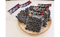 しじみの食べ比べ！宍道湖産＆神西湖産