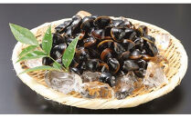 しじみの食べ比べ！宍道湖産＆神西湖産