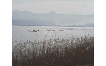 しじみの食べ比べ！宍道湖産＆神西湖産