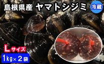 日本一！しまねのヤマトシジミ！Ｌサイズ