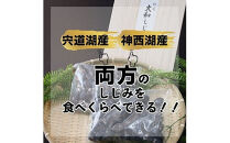 厳選特大しじみ詰め合わせ