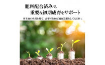 【播種・移植用培養土】種まき培土30L×4袋セット