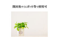 【播種・移植用培養土】種まき培土30L×10袋セット