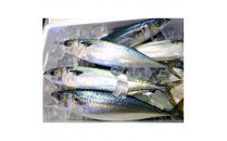 【出雲縁結び】かまぼこセット