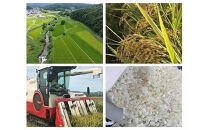 ＊出雲＊　縁結びたまごかけごはんセット