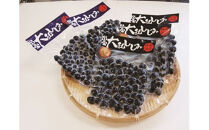 【３回定期便】しじみの食べ比べ！宍道湖産＆神西湖産