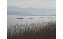 【３回定期便】しじみの食べ比べ！宍道湖産＆神西湖産